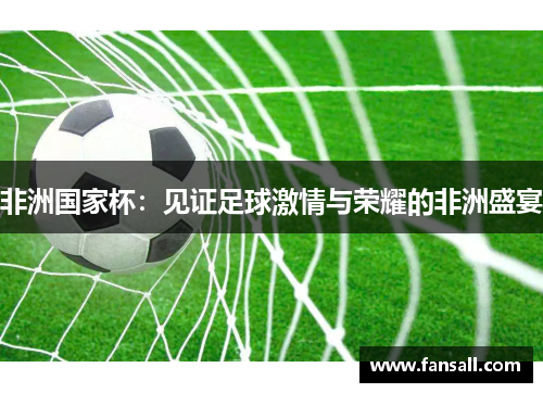 非洲国家杯：见证足球激情与荣耀的非洲盛宴