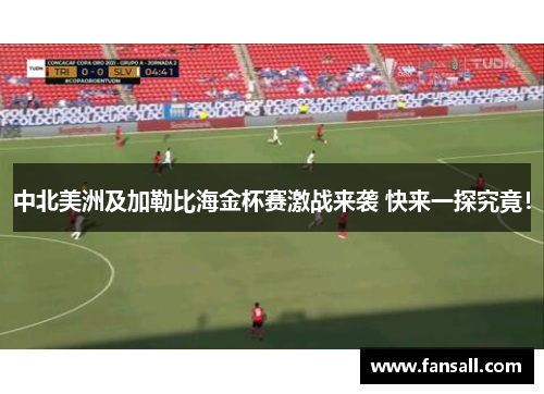 中北美洲及加勒比海金杯赛激战来袭 快来一探究竟！